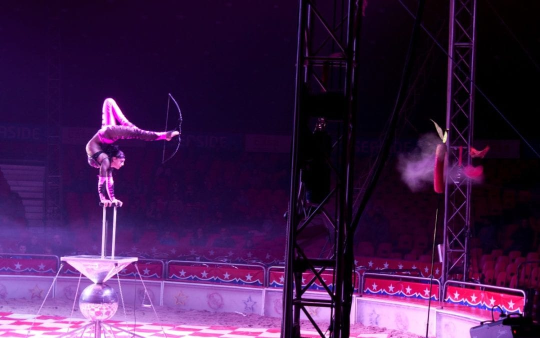 Multiple performers injured in circus accident