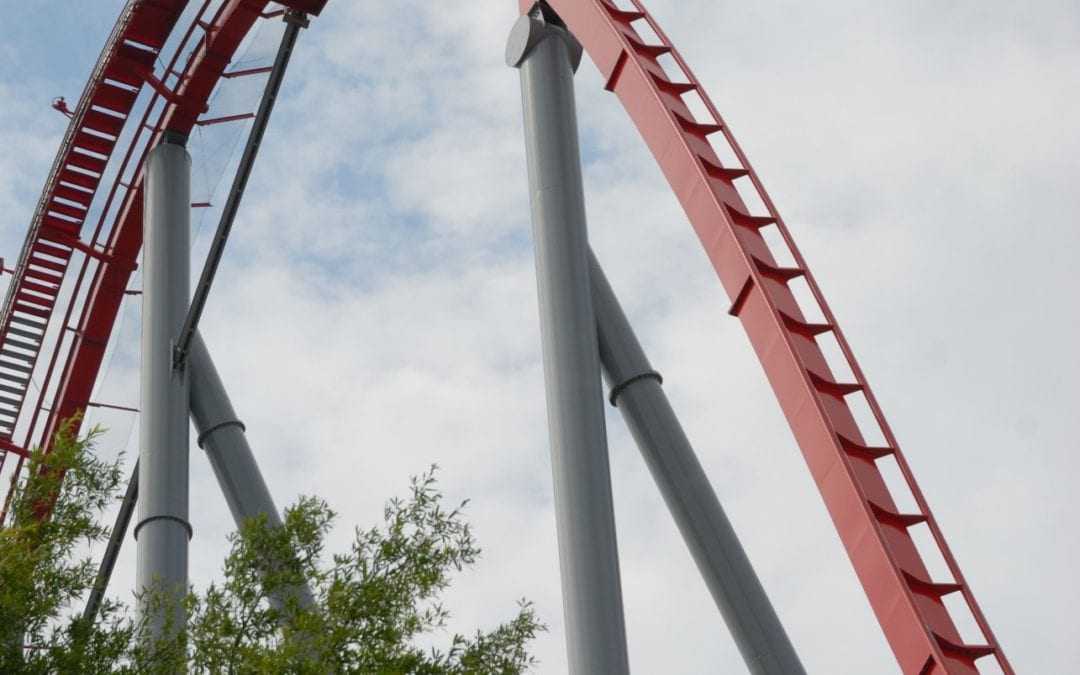 Tree branch causes roller coaster to derail, injuring 4